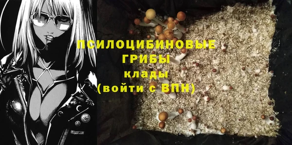 2c-b Верхний Тагил