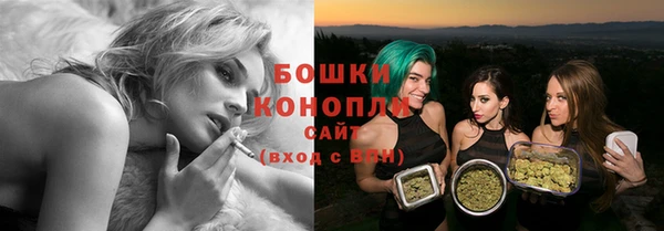 индика Верея