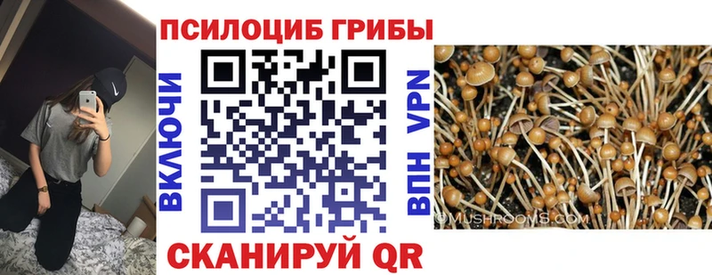 MEGA маркетплейс  Гремячинск  Псилоцибиновые грибы прущие грибы 